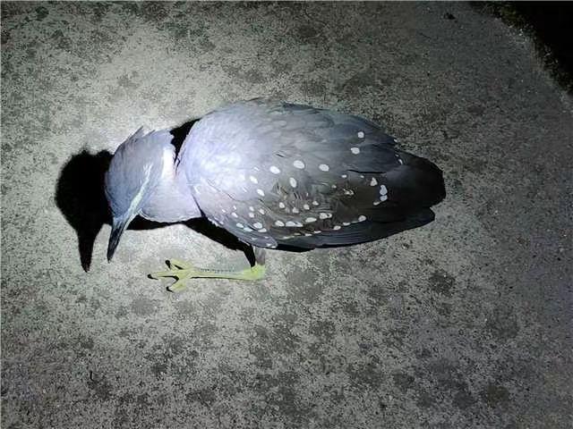 海南盛会,尊敬的领导与朋友们共聚一堂